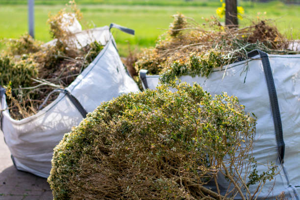 Best Junk Removal Near Me  in Meridian, CO
